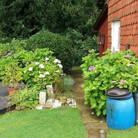 Ferienwohnung Im Waldwinkel Stadthagen Εξωτερικό φωτογραφία