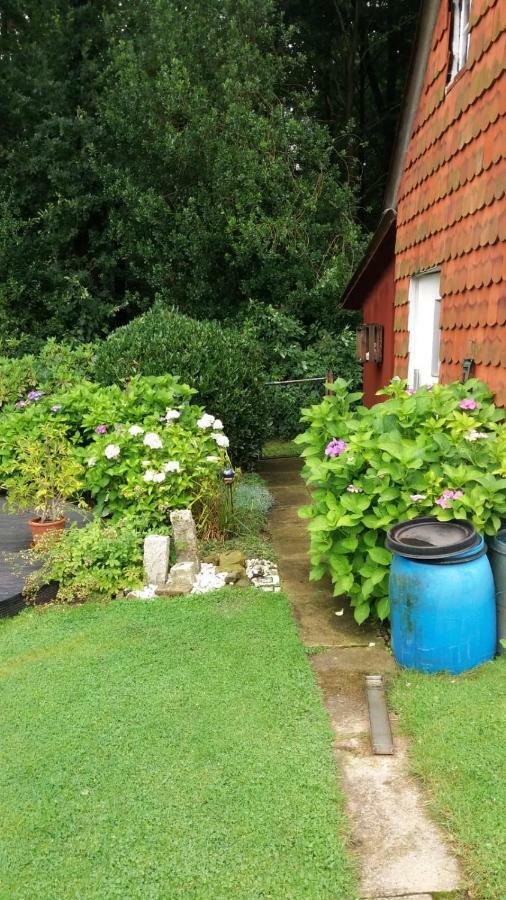 Ferienwohnung Im Waldwinkel Stadthagen Εξωτερικό φωτογραφία